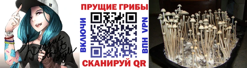 Псилоцибиновые грибы Magic Shrooms  Калач 